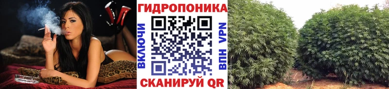 Купить закладки  Воронеж  Бошки Шишки планчик 